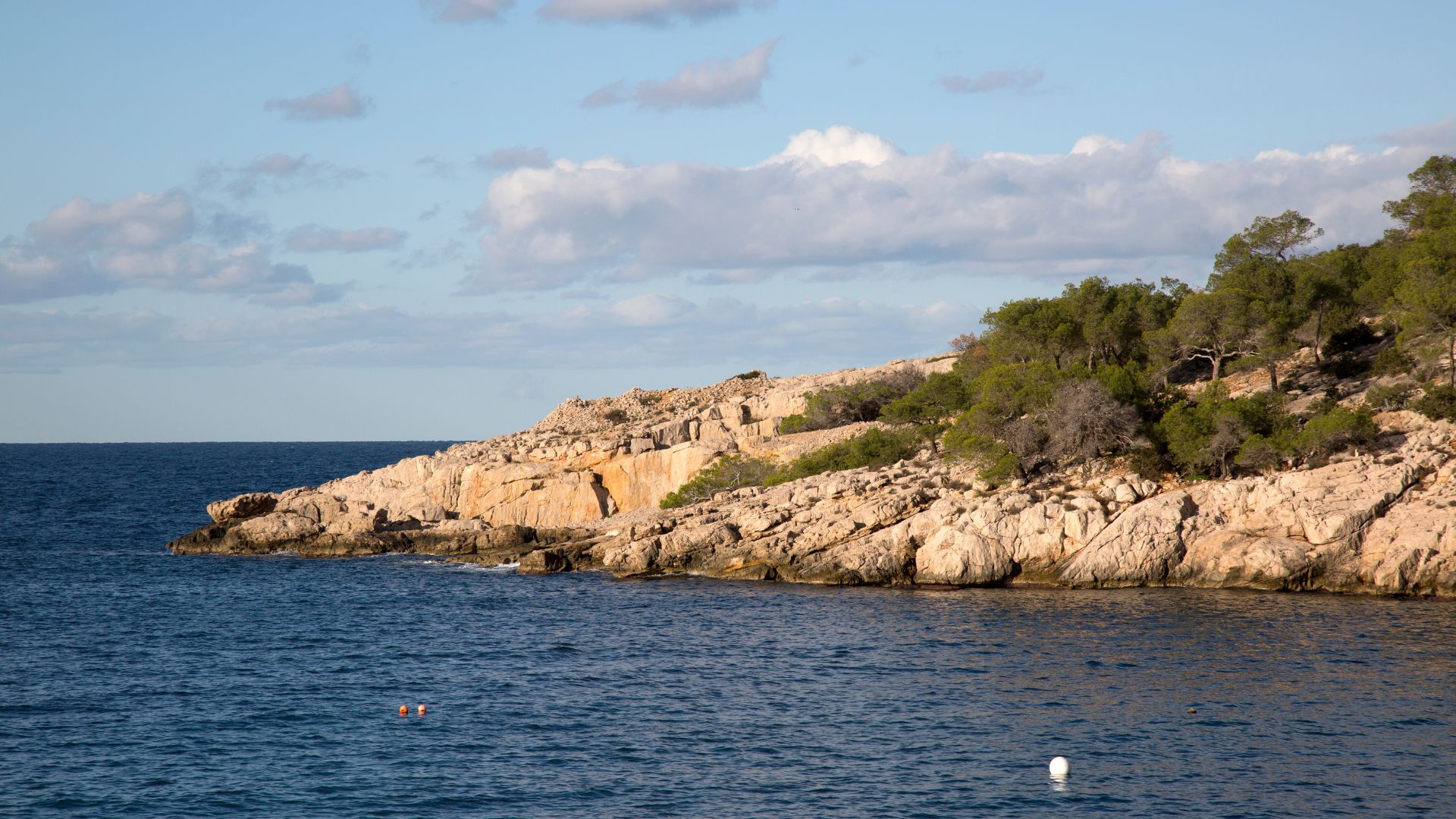 xr:d:DAFd1mtot-0:13,j:43706018003,t:23032115