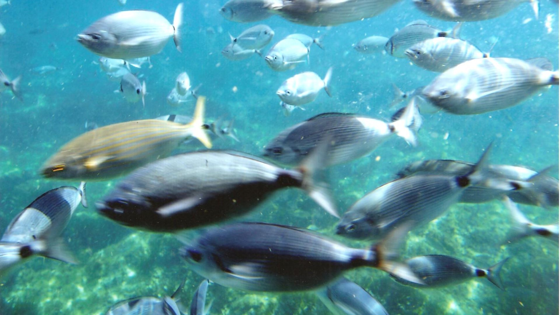 xr:d:DAFd1mtot-0:13,j:1242732549,t:23032115