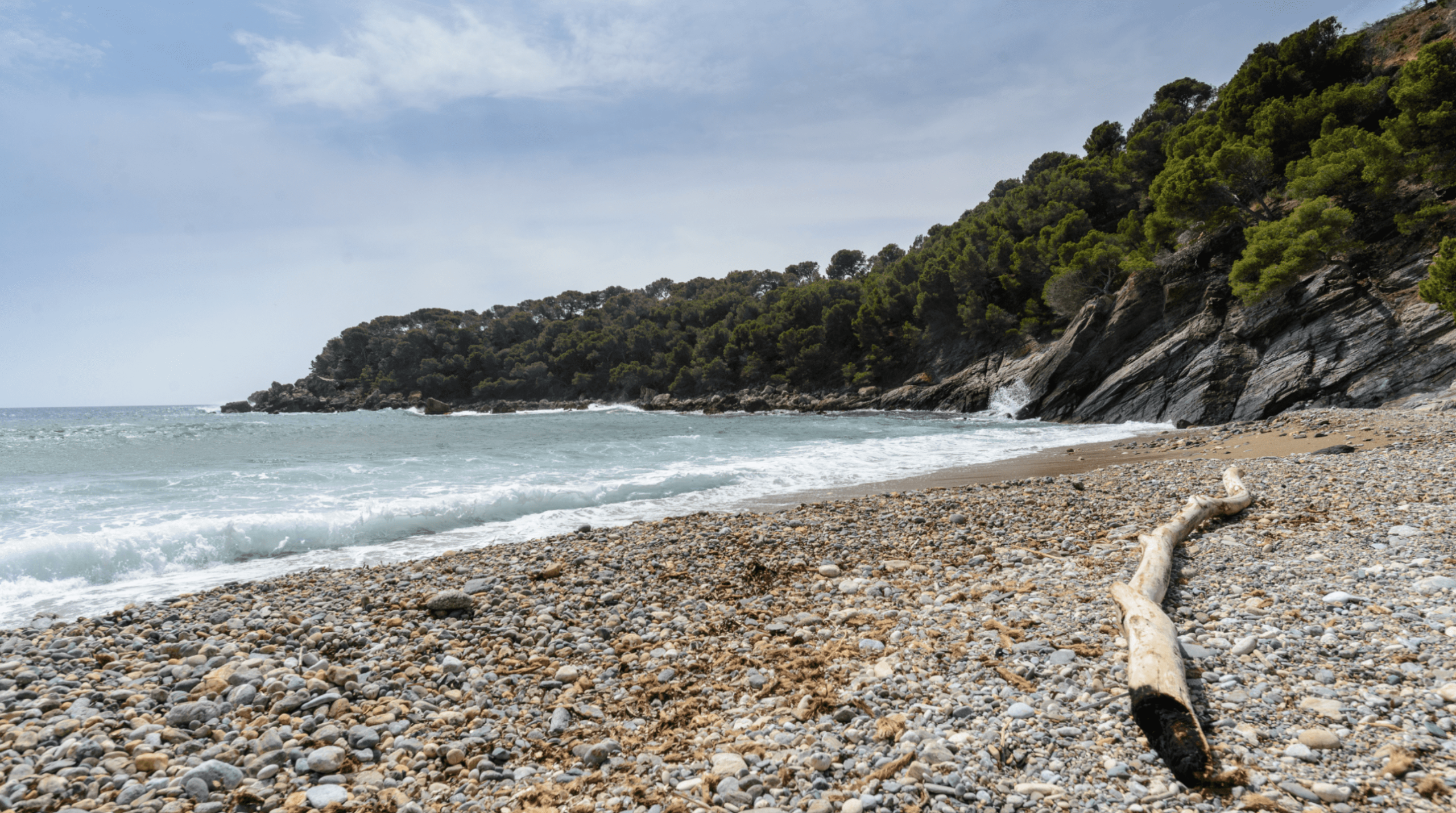 Cala Murtra - Súper Visión Submarina (4)