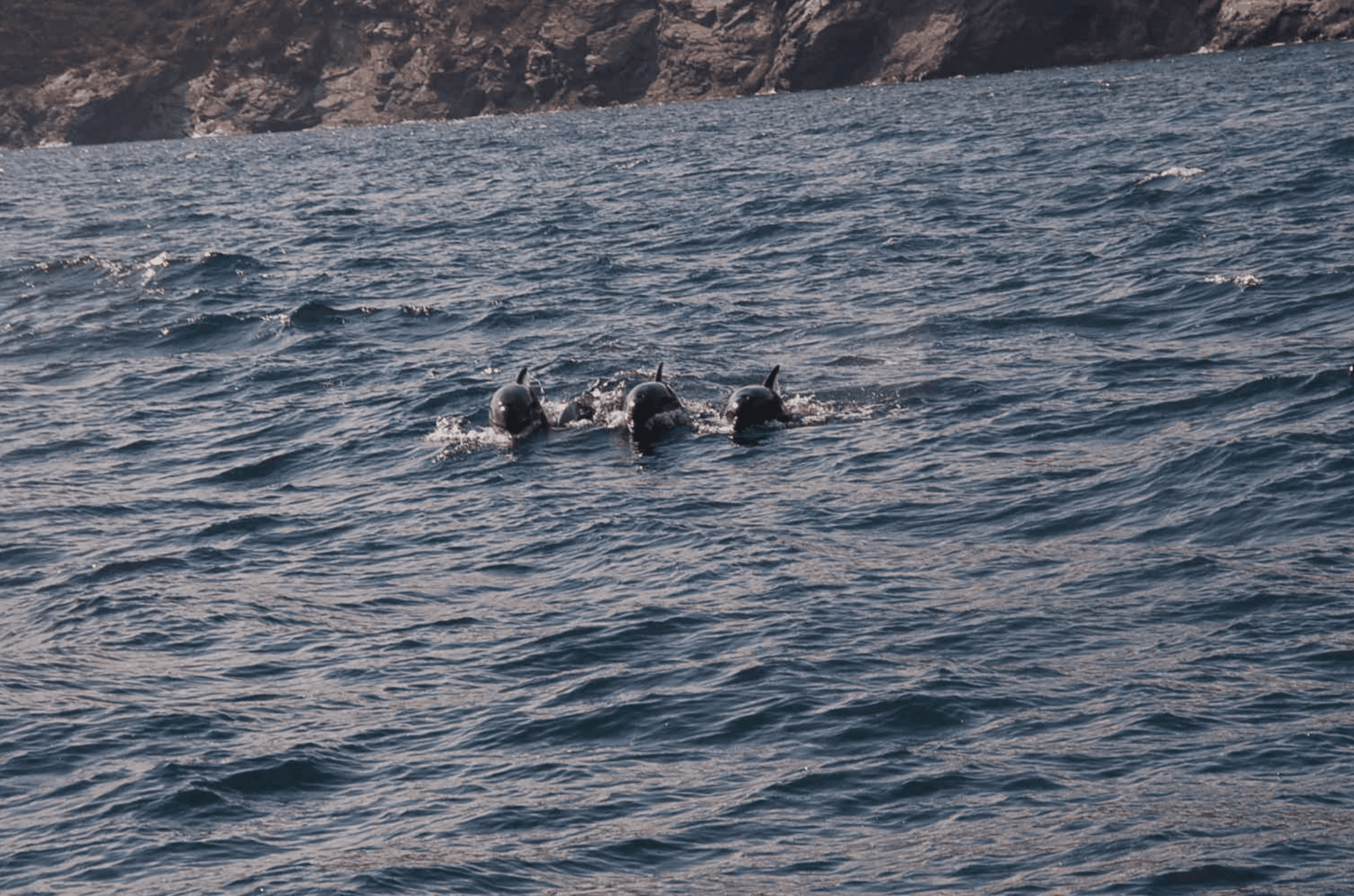 Cala Murtra & swimming (2)