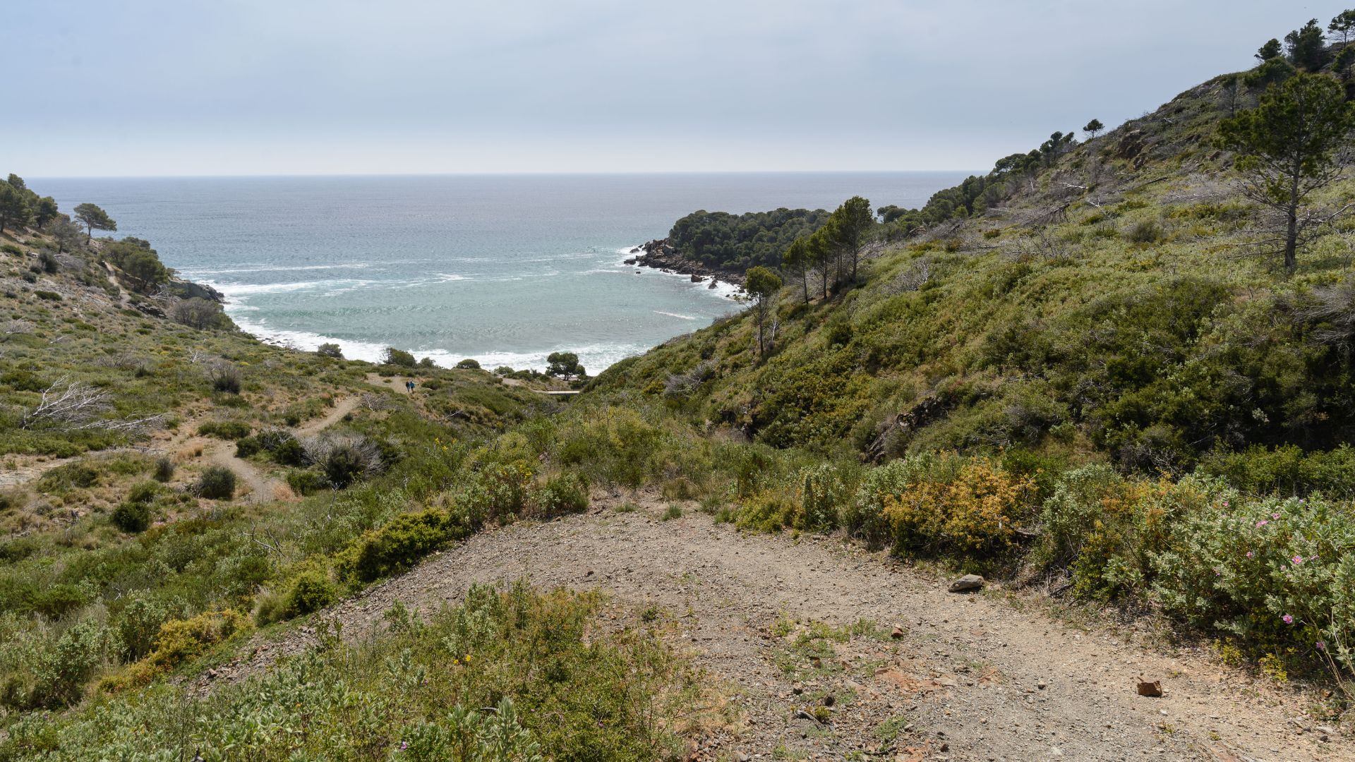 xr:d:DAFd1mtot-0:13,j:43705978254,t:23032115