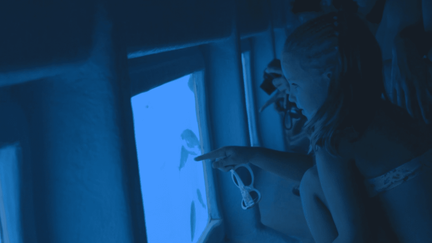 Cap Norfeu & Bahía de Jòncols - Súper Visión Submarina (11)