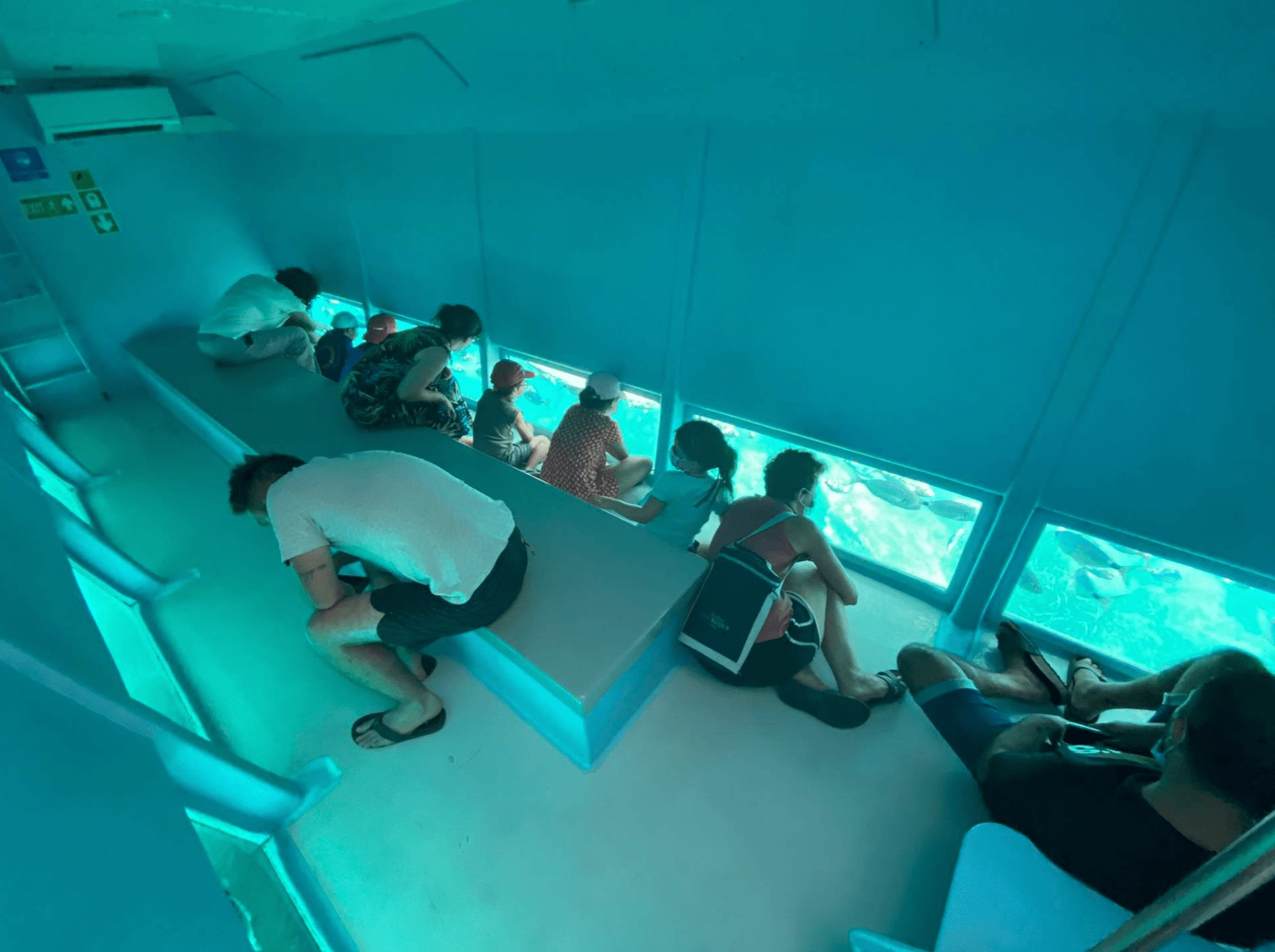 Estartit & Islas Medas - Súper Visión Submarina (6)